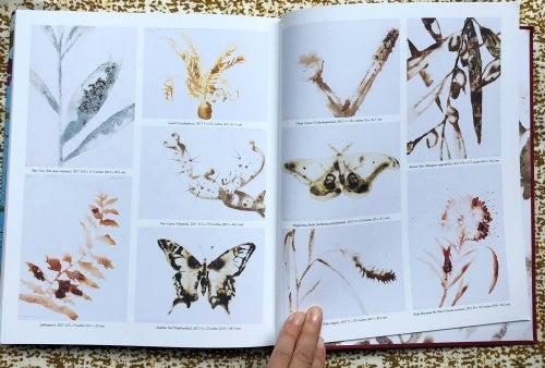 Works on Paper. Alexis Rockman.