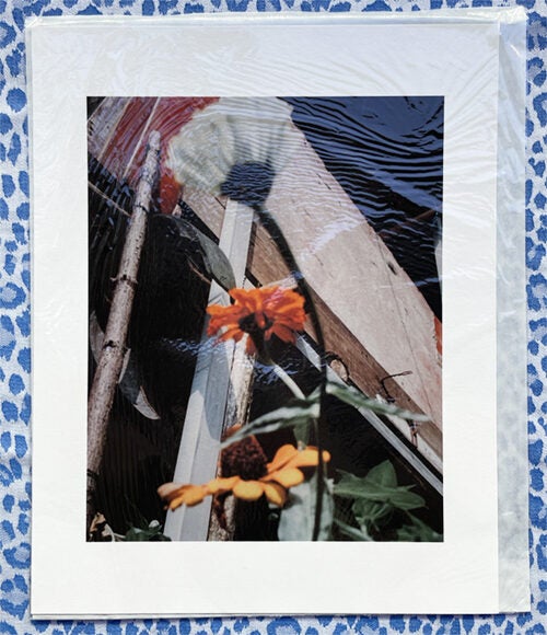 Song Flowers | Jack Davison | Print Edition, 100 copies