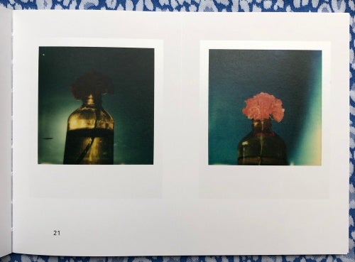 Polaroids - Flora. Robby Muller.