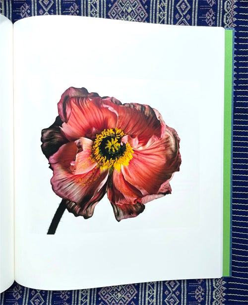 Flowers. Irving Penn.
