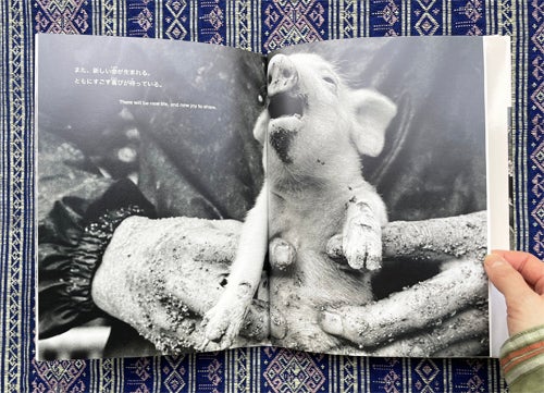 A Life With Pigs. Hitsuko Kamimura Toshiteru Yamaji, Text.