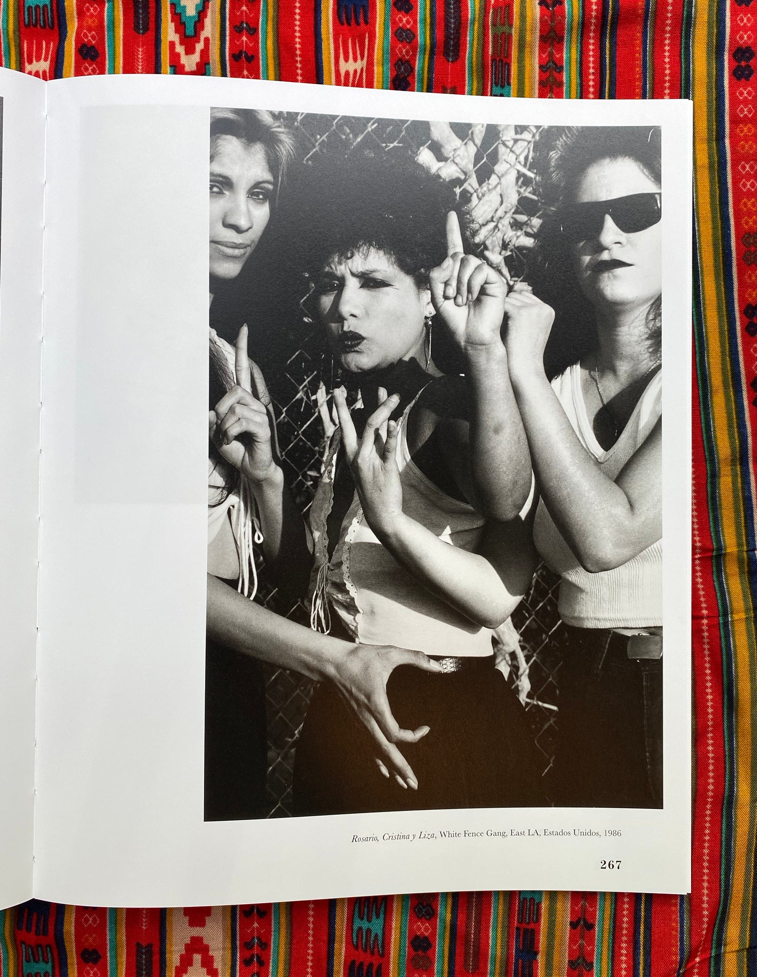 Heliotropo 37 | Graciela Iturbide | First Edition