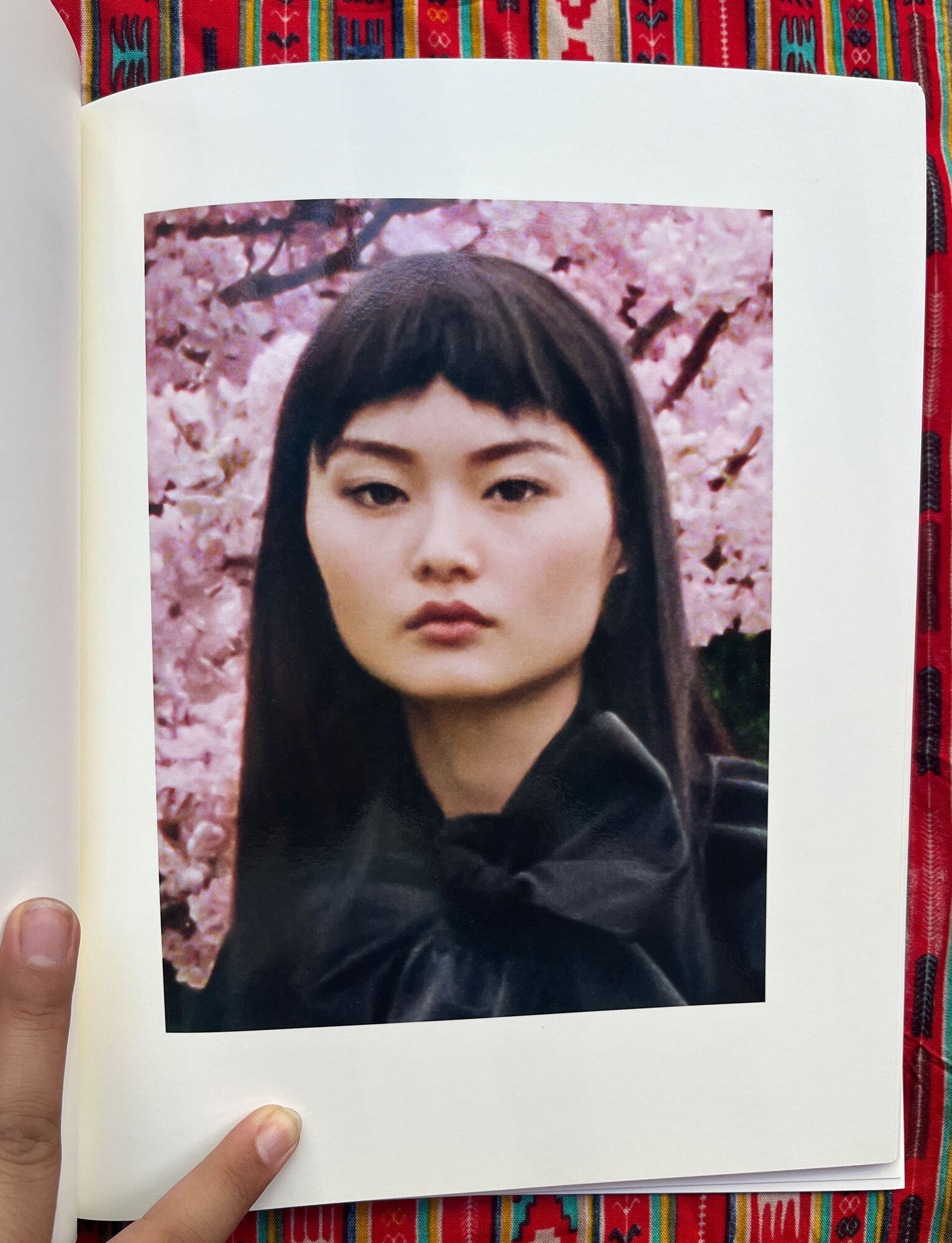 Fragile Face Lay Flat | Venetia Scott | 250 copies