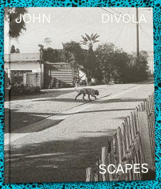 Scapes. John Divola.