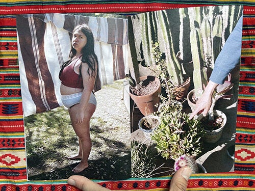 Como Agua Para Ajolote. Martha Naranjo Sandoval.