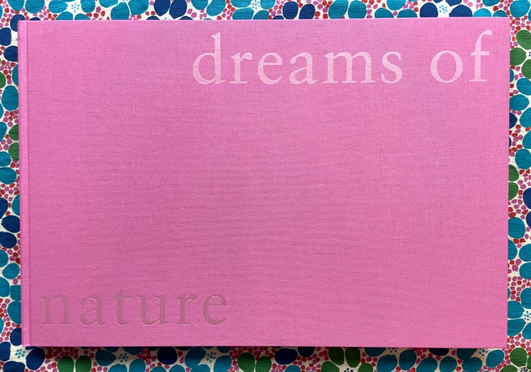 Dreams of a Place We Have Lived. Lisa Klapstock.