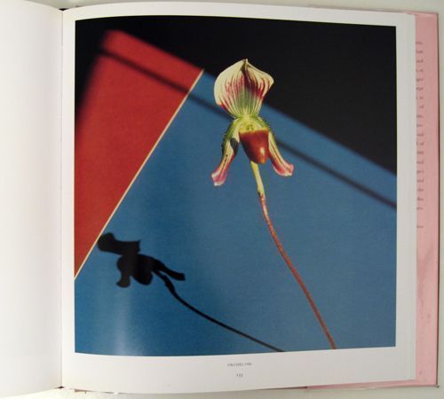 Pistils by Robert Mapplethorpe on Dashwood Books