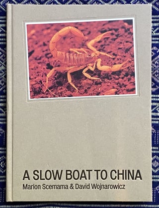 A Slow Boat to China. David Wojnarowicz Marion Scemama.