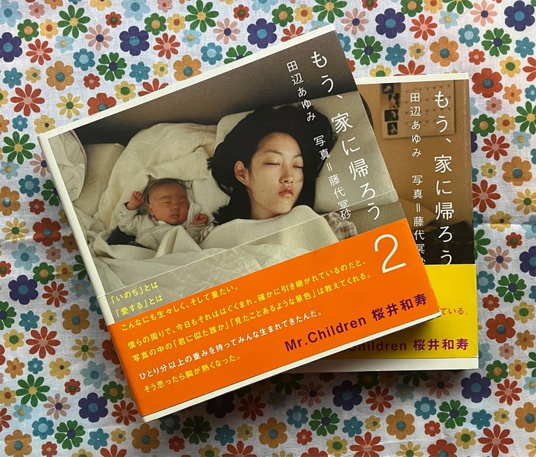 Mou, Ieni Kaerou (Let's go home) Vol 1 & Vol 2. Meisa Fujishiro.