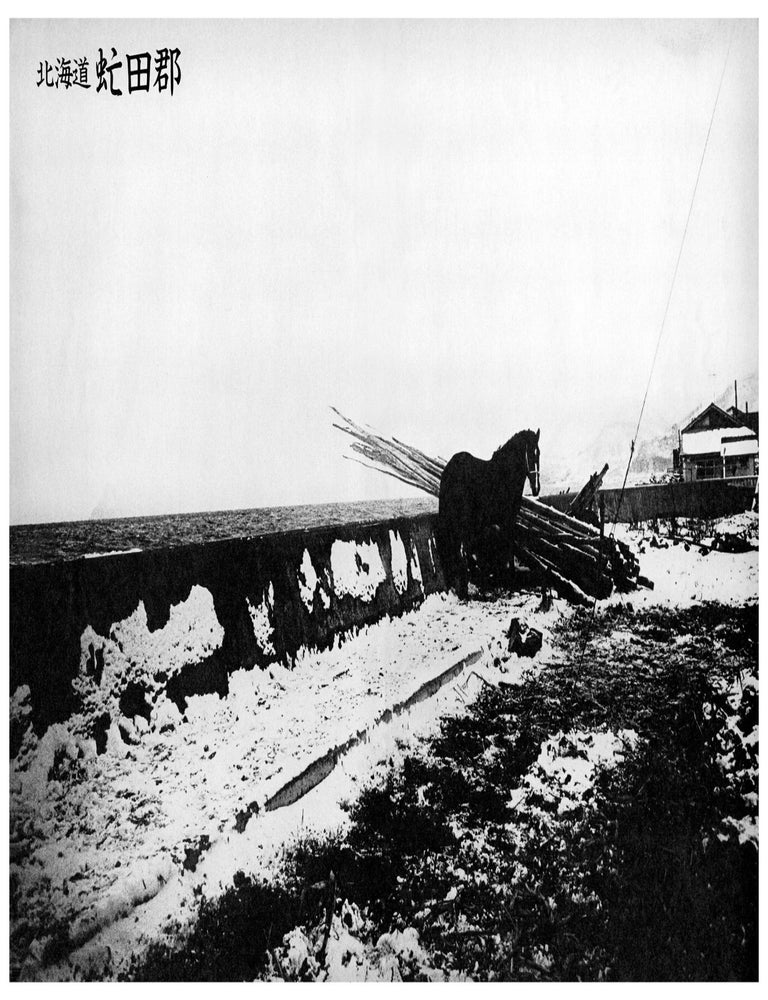 Daido Moriyama Shashin Jidai 1981&mdash;1988 : Tokyo, A Following Story 3, Winter Trip. Horse. (Poster). Daido Moriyama.