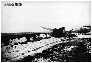 Daido Moriyama Shashin Jidai 1981—1988 : Tokyo, A Following Story 3, Winter Trip. Horse. (Poster). Daido Moriyama.