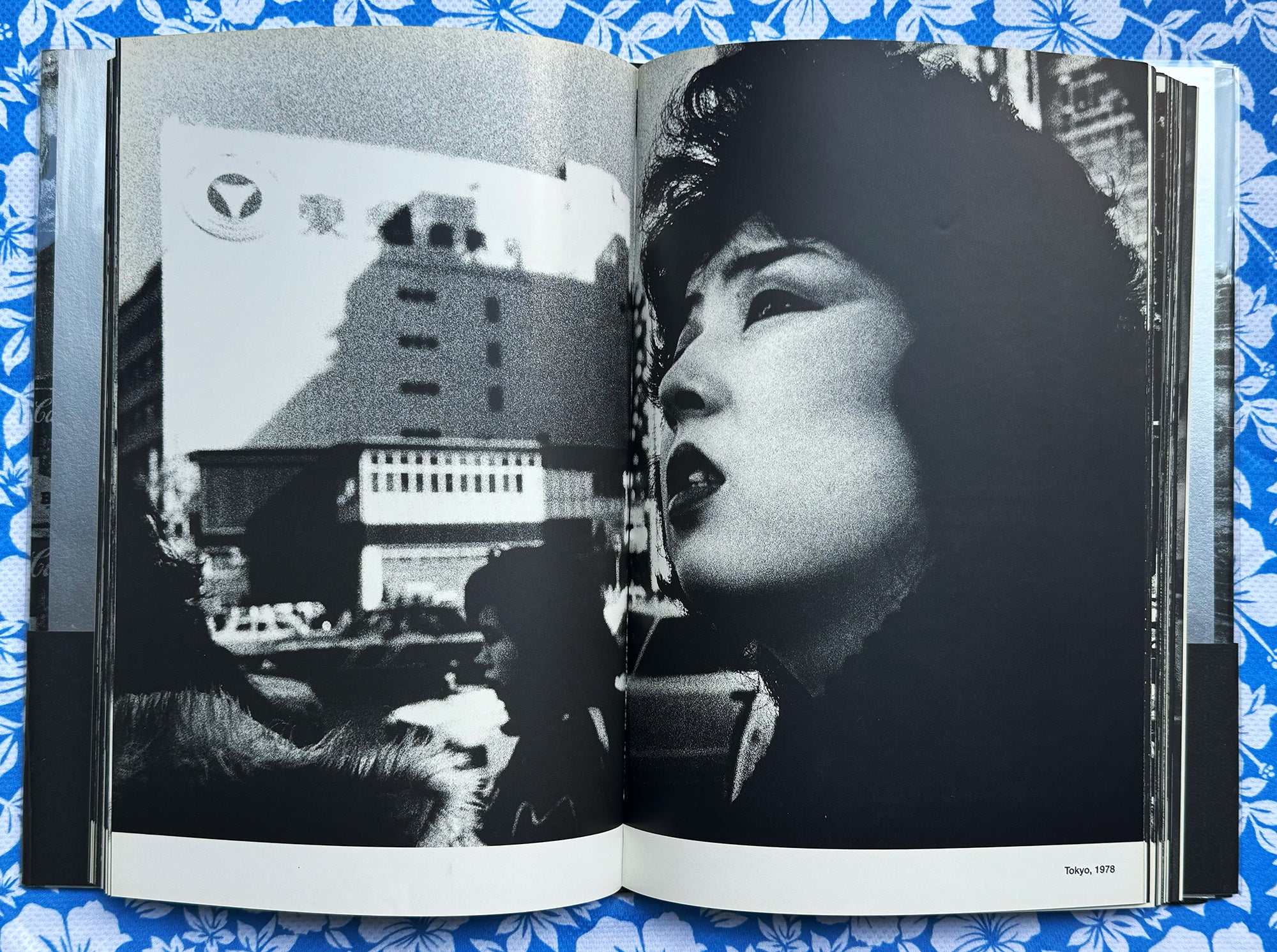 Inu No Toki The Time of the Dog : New York-Okinawa-Tokyo | Daido 