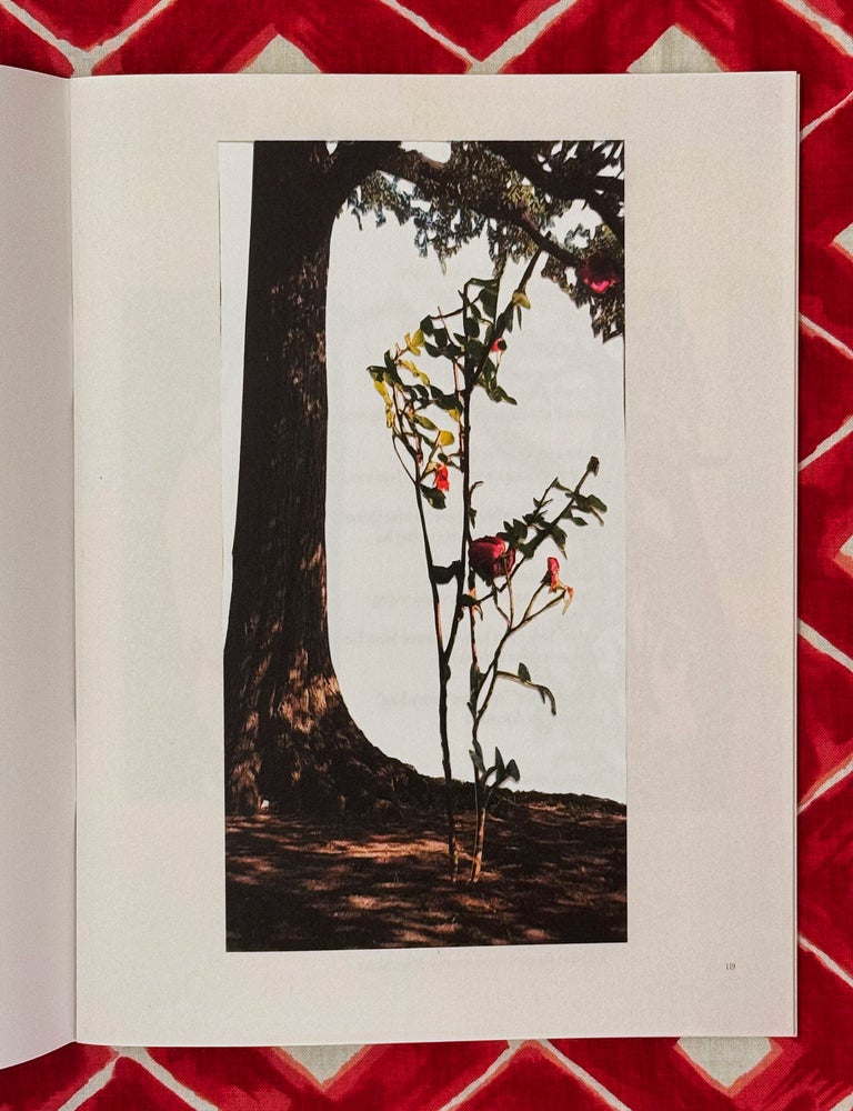 Ariana and SCUMB Flowers. Justine Kurland, Ariana Reines, Poem.
