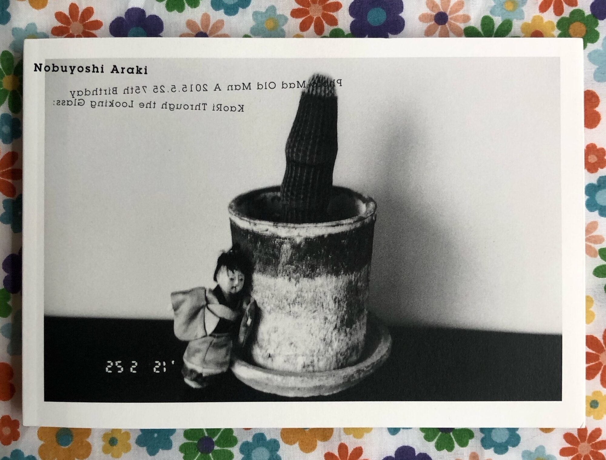 Kaori through the looking glass: photo-mad old man a 2015.5.25