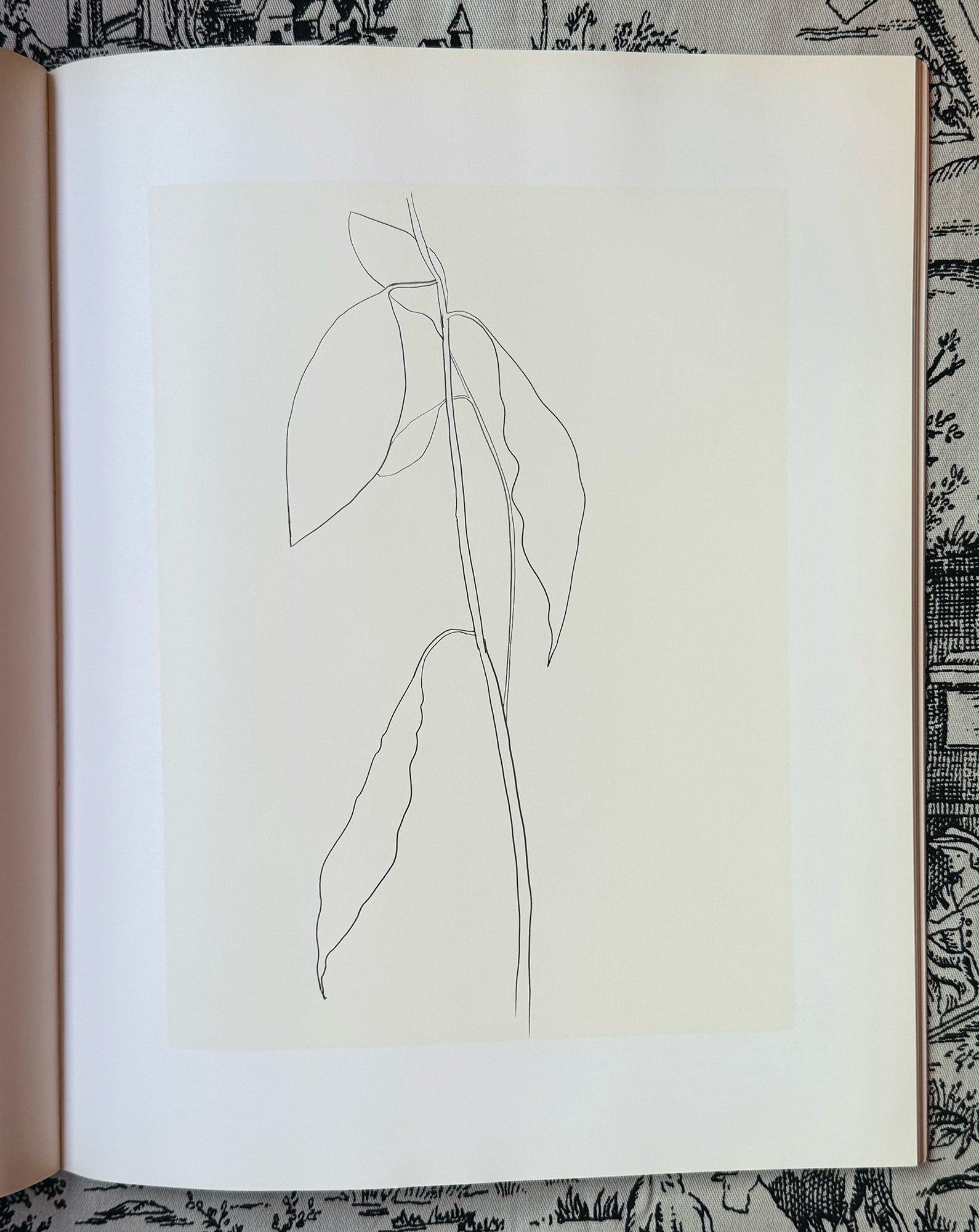 Plant Drawings | Ellsworth Kelly | First Edition