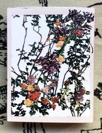 Matchbox : SCUMB Flowers. Justine Kurland.