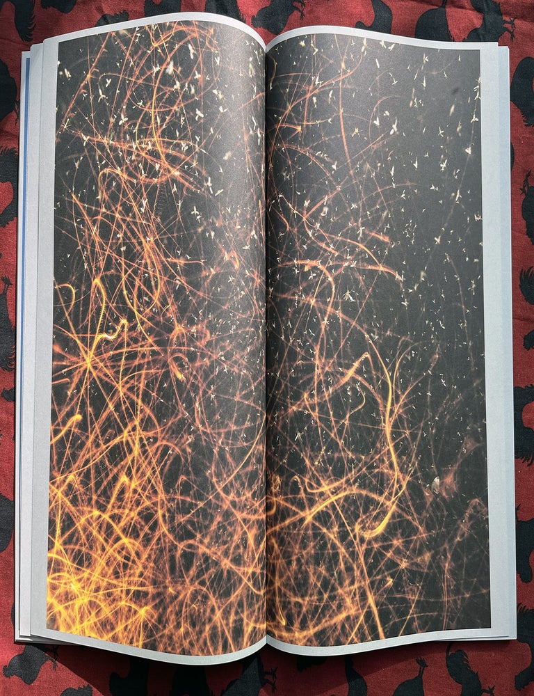 Sense of Presence. Rogier Maaskant.