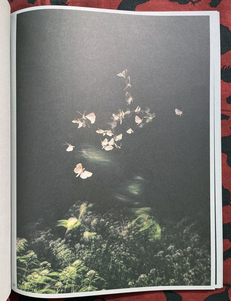 Sense of Presence. Rogier Maaskant.