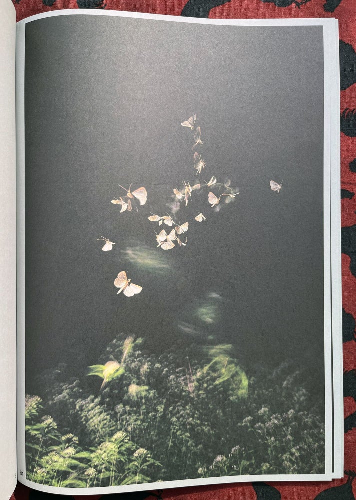 Sense of Presence. Rogier Maaskant.