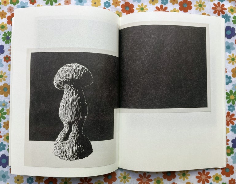 Paper Trail. Carl D'Alvia Dina Wright, Essay.
