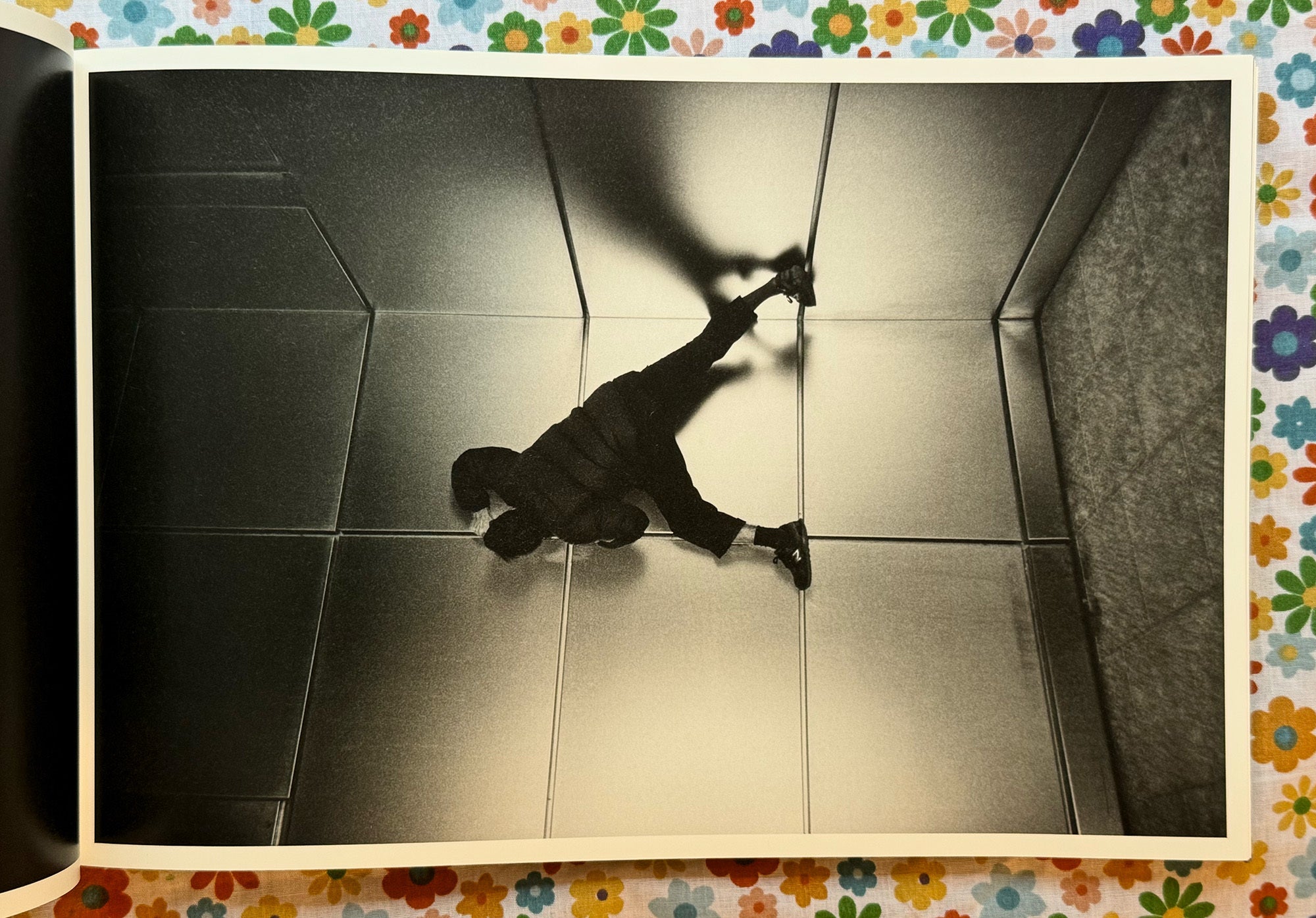 Tyger Tyger | Benjamin Butcher | 250 copies