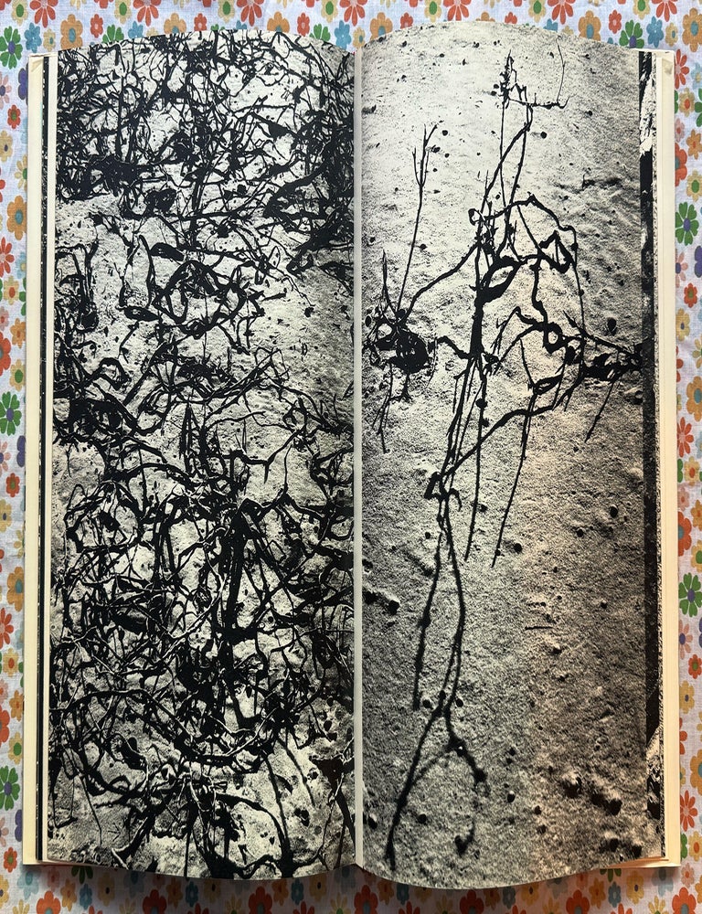 Camargue Secrete. Lucien Clergue.
