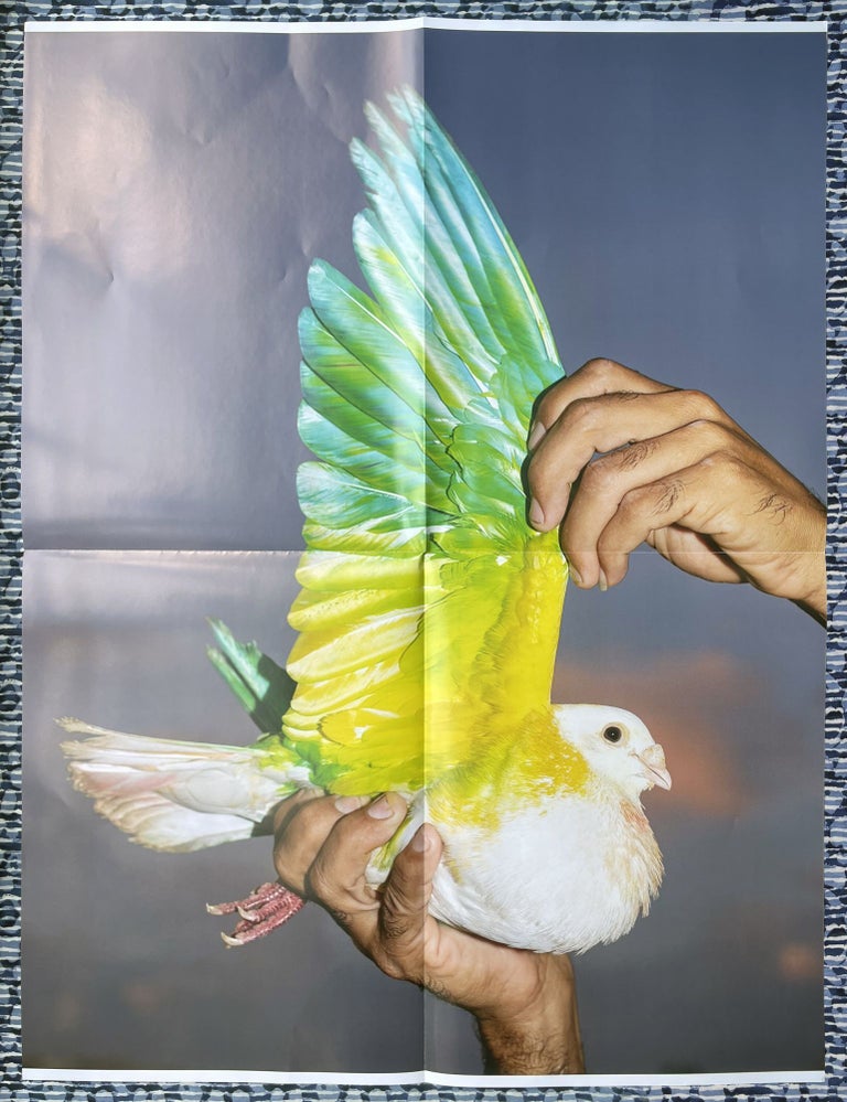 Picadero. Aída Hurtado Carlos Jaramillo, poem.