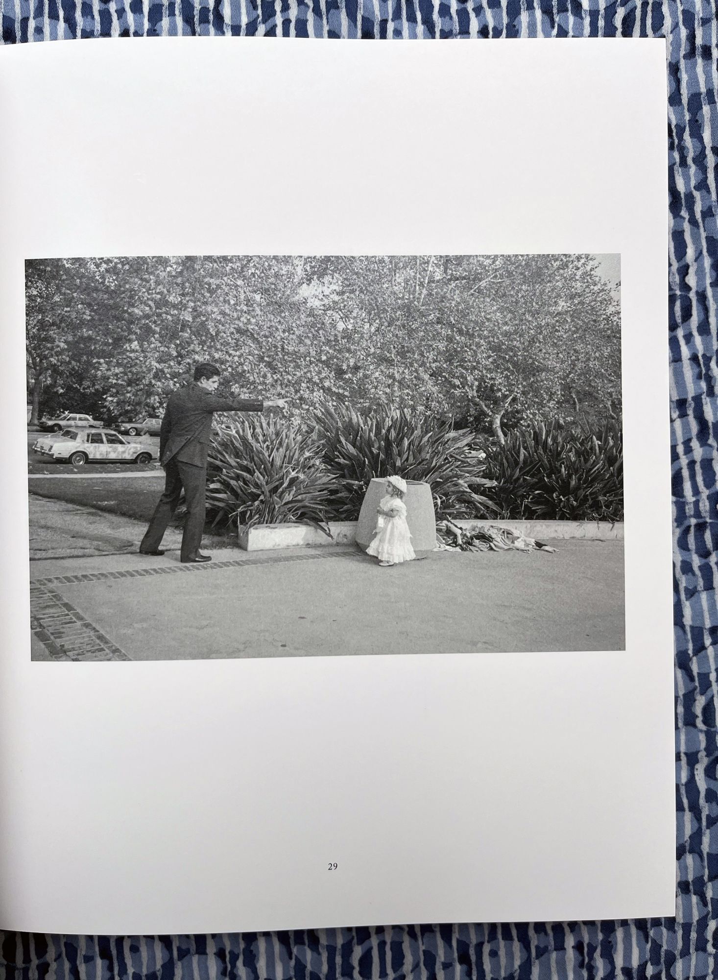 Taken from Light | Andrew Szegedy-Maszak Mark Steinmetz, Sandra S 