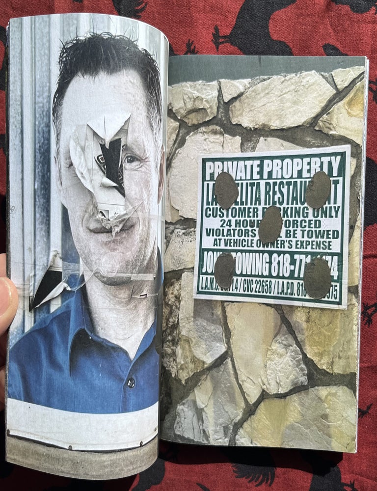 Earth Crack. Ariana Mamnoon.