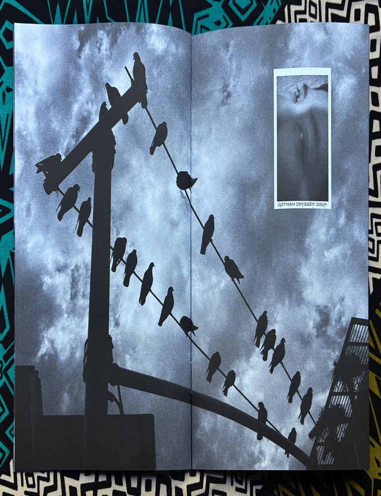 Fragments from Gotham (SIGNED). Kentaro Yasu.