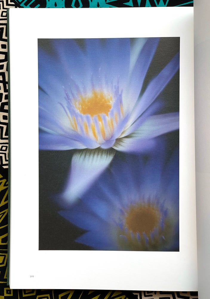 Lumiere. Mikiya Takimoto.