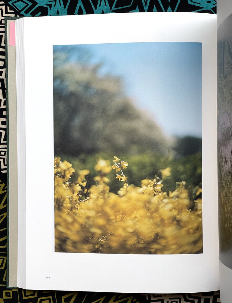Lumiere. Mikiya Takimoto.