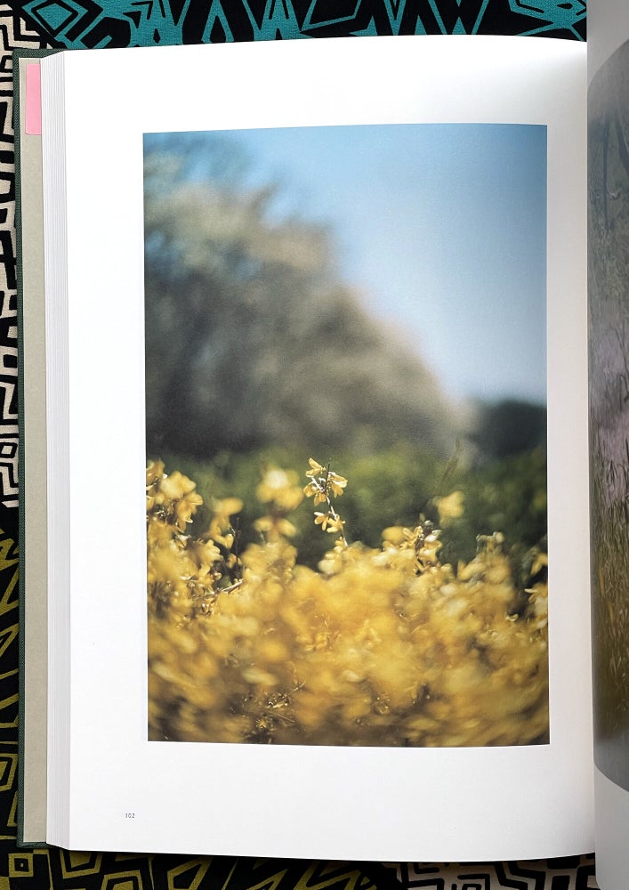 Lumiere. Mikiya Takimoto.