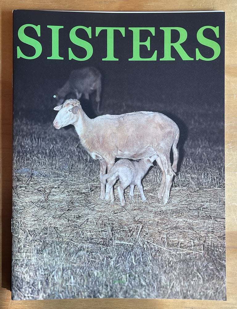 Sisters #2 : The Night Issue. Ana Steiner Danko Steiner.