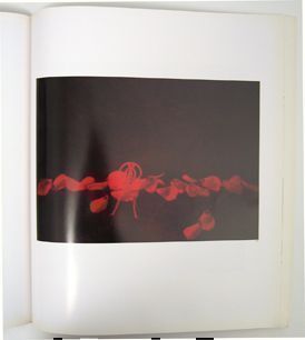 Self-Portrait. Osamu Wataya Nobuhiko Kitamura, Kimie Hata, Kaho Kanzo, Maya Kobayashi, Hiroshi Sunto, Hiroshi Narita, Kiyoshi Tatsukawa, Yuichi Inoue, Toshiro Kawase, Yasuo Matsumoto, Ueda, Shoji, Taishi Hirokawa, Tadayuki Naito, Sawako Goda, Mikio Matsuo, Ikko Narahara, Eiichi Kashimura, Hiroshi Yoda.