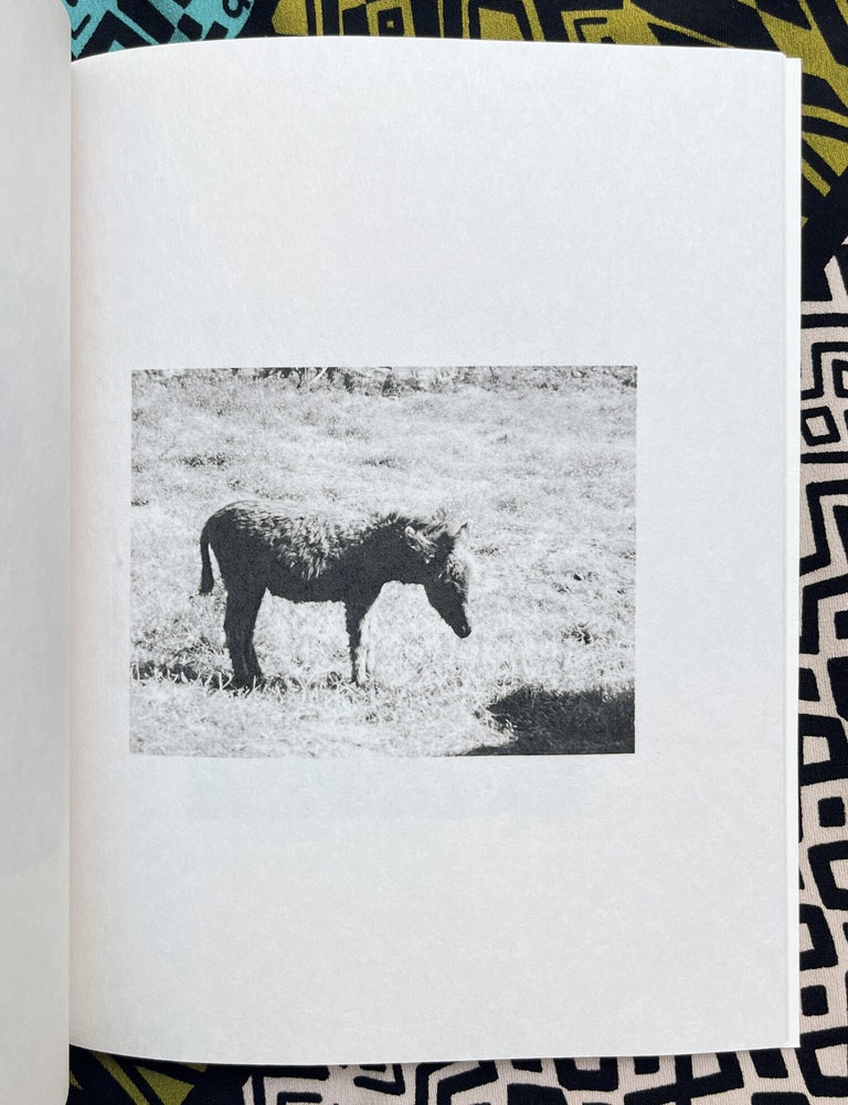 Polaroids. Mark Borthwick.