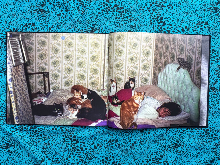 Reigning Cats on the Isle of Dogs (SIGNED). Maya Hardinge.