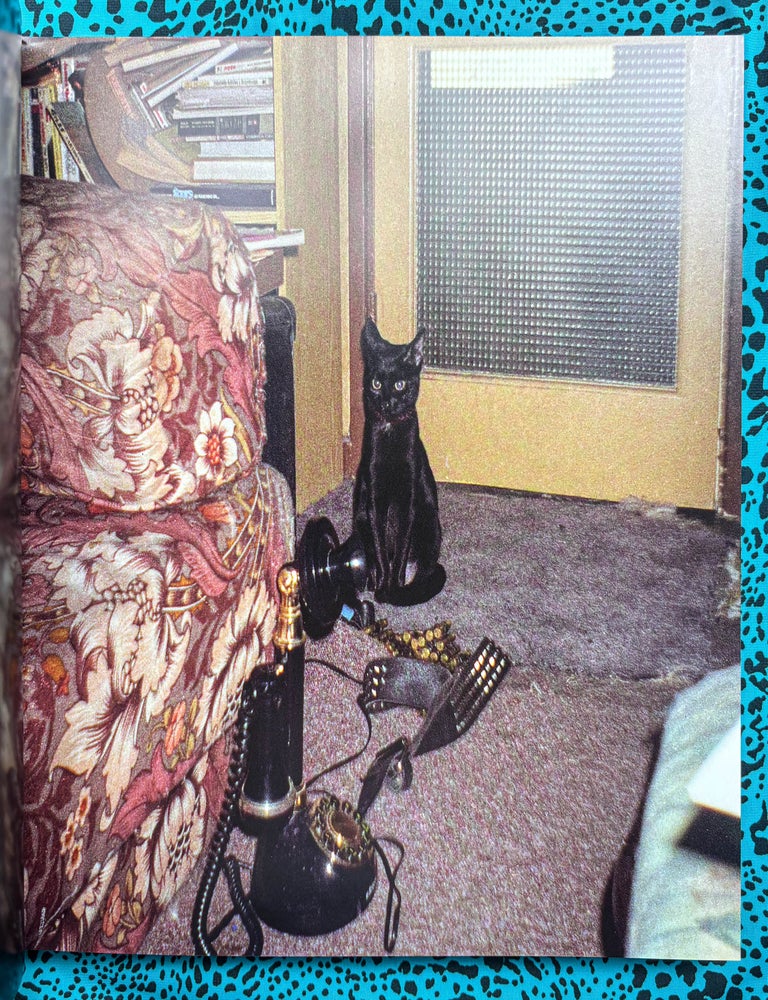 Reigning Cats on the Isle of Dogs (SIGNED). Maya Hardinge.
