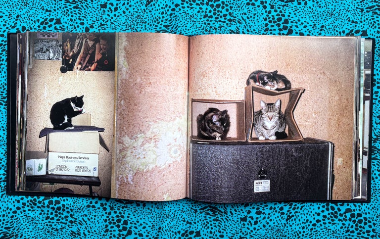 Reigning Cats on the Isle of Dogs (SIGNED). Maya Hardinge.