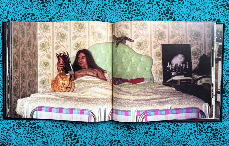 Reigning Cats on the Isle of Dogs (SIGNED). Maya Hardinge.