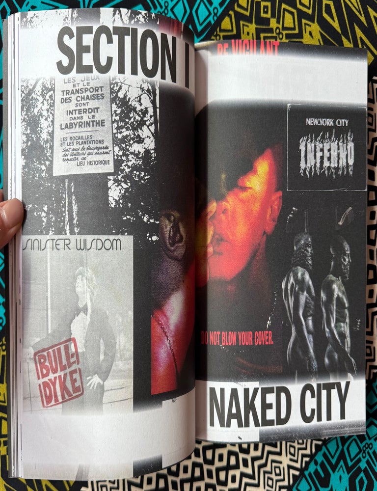 Cruising Pavilion, Architecture, Dissident Sex and Cruising Cultures. Charles Teyssou Pierre-Alexandre Mateos, Samuel R. Delany Gayle Rubin, Hannah Quinlan, Henrik Olesen, Joan Nestle, Studio Karhard Rosie Hastings, Diller Scofidio, Hal Fischer, David Wojnarowicz, Robert Yang Renfro.