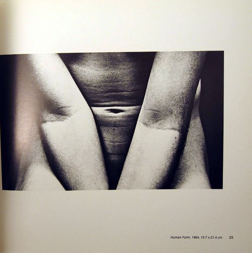 Photographs 1948-1980. Estelle Jussim Barbara Crane, Paul Vanderbilt, Essay.