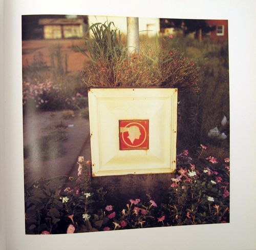 2 1/4 by William Eggleston on Dashwood Books