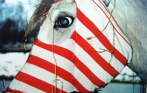 The Dim Feet of White-maned Desire　少女と馬 The Dim Feet of White-Maned Desires | Alexandra Vogt