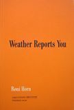 Weather Reports You. Roni Horn.