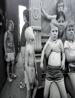 Photographs From One Year. Nicholas Nixon.