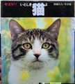 Sasuke!! Itoshiki Neko Yo (Sasuke!! Lovely Cat). Masahisa Fukase.