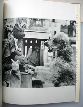 A Dog's Guide to Tokyo. Eikoh Hosoe.
