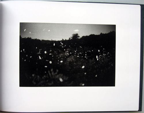 Fireflies. Gregory Crewdson.