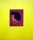 Male: From the Collection of Vince Aletti. Collier Schorr Vince Aletti, Author, Text.